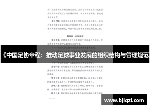 《中国足协章程：推动足球事业发展的组织结构与管理规范》
