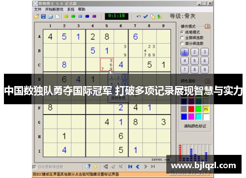 中国数独队勇夺国际冠军 打破多项记录展现智慧与实力